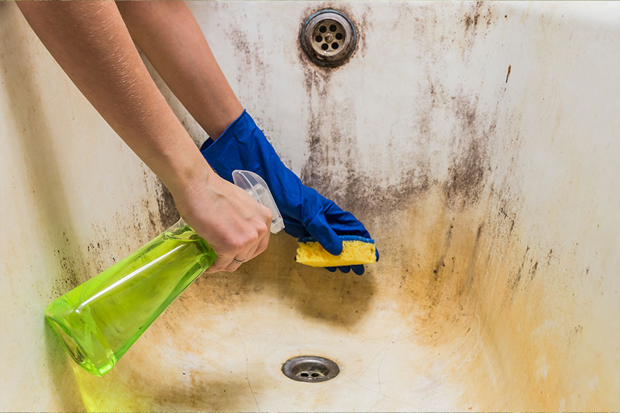 A homeowner using an eco-friendly cleaning solution and sponge to clean the inside of a dirty bathtub in St. Charles, MO.