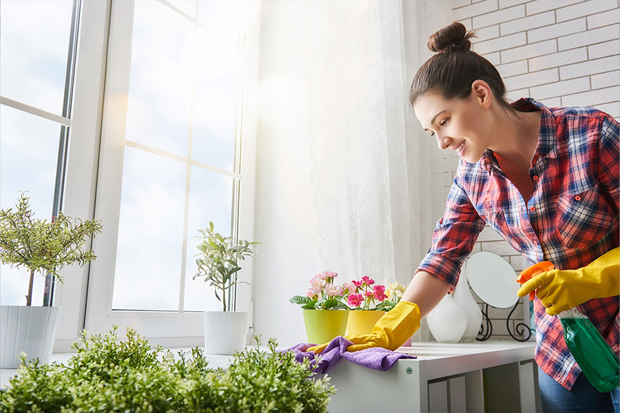 A homeowner in St Charles, MO holding a cleaning spray bottle and a purple cloth to clean the countertop of a kitchen or bathroom.