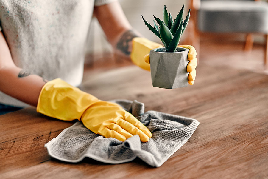A St. Louis, MO woman wearing a grey sweater and yellow gloves is holding a succulent in one hand while dusting a table in the other.